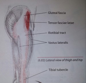 A side view of the right leg shows the underlying ITBand and connected muscles.